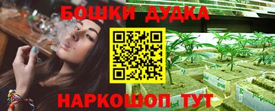 PSILOCYBIN Долгопрудный