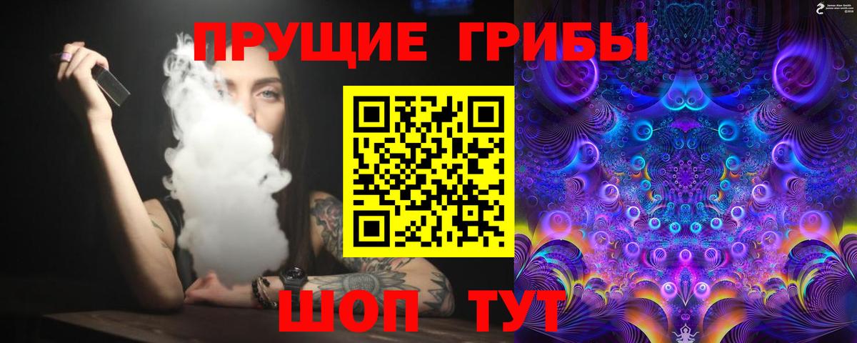 Псилоцибиновые грибы мицелий  Вход с VPN  где купить наркотик  Псилоцибиновые грибы Psilocybe  Городец 